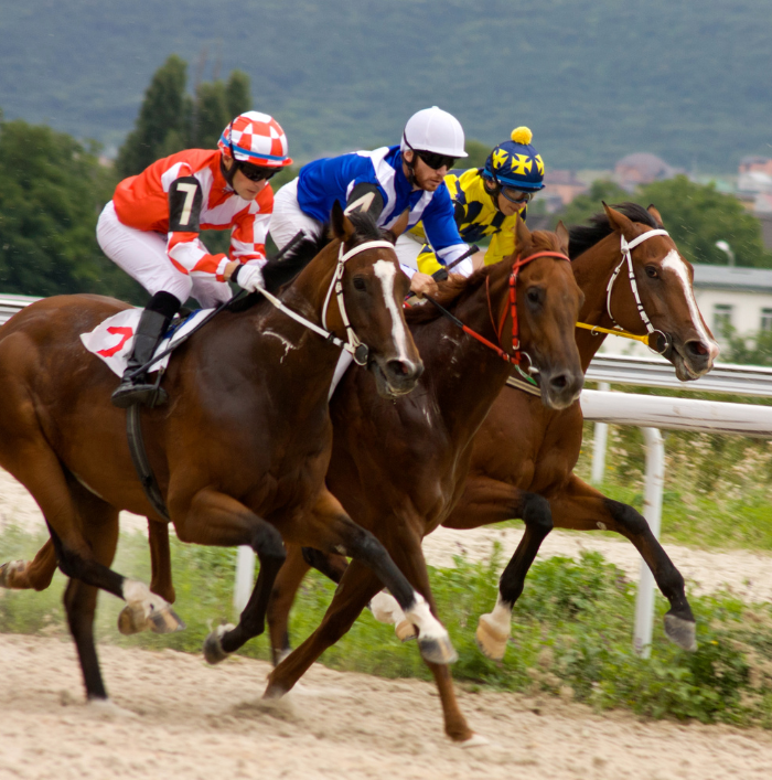 Untitled design(434)